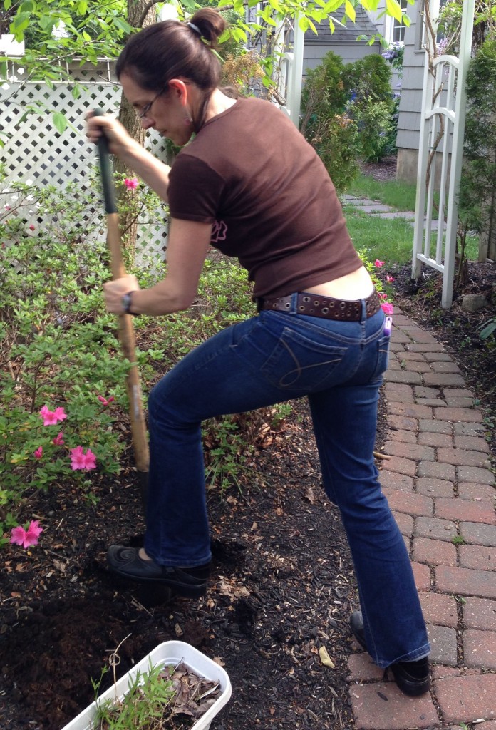 Amy rocks the Elaine Perlov rose t and the hotline phone in her back pocket while replanting annuals